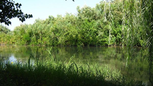 Shirvan National Park